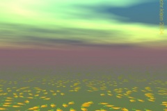 248-2004_06