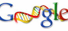dna(50Jahre)