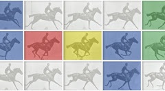 muybridge12-hp