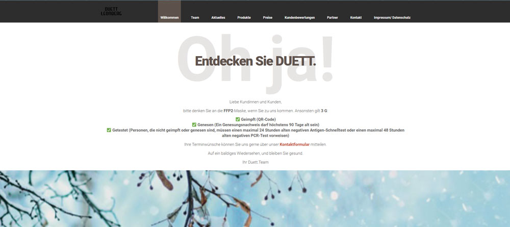 screenshot duett website 2