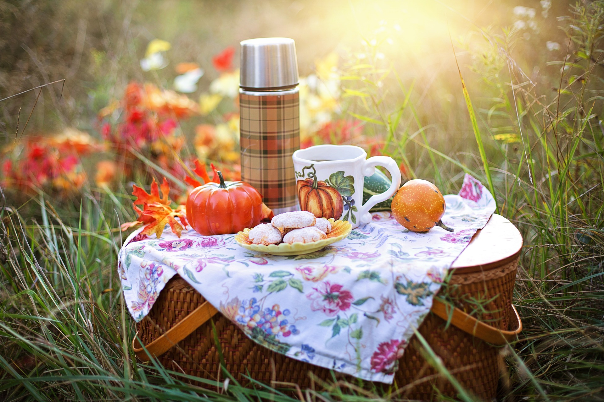 Picknick- Bild von Jill Wellington auf Pixabay