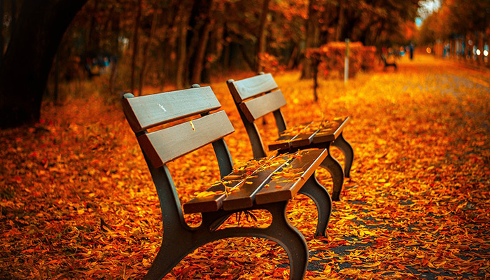 Bild von Pepper Mint auf Pixabay- Bänke im Herbst