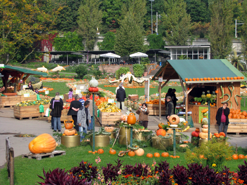 Kürbisausstellung 2010 Ludwigsburg