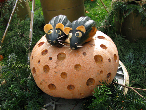 Kürbisausstellung 2010 Ludwigsburg