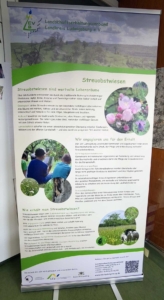 Roll-Up des LEV Ludwigsburg zum Thema Streuwiesen